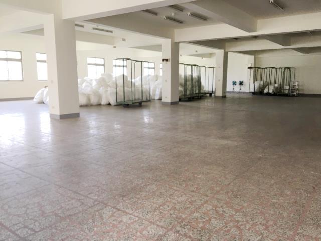 桃園八德廠房-2
