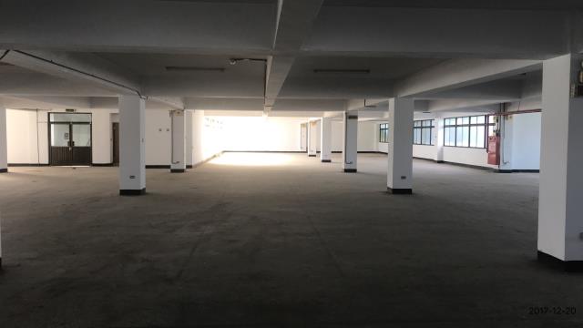 桃園楊梅廠房-0