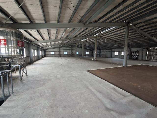 桃園中壢廠房-3