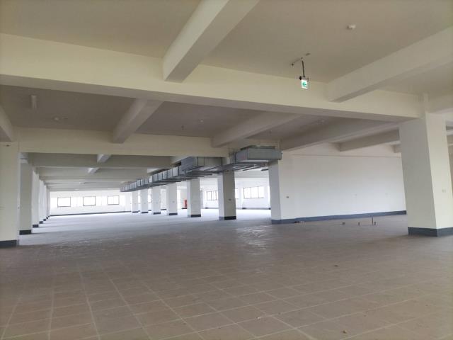 台中神岡廠房-1