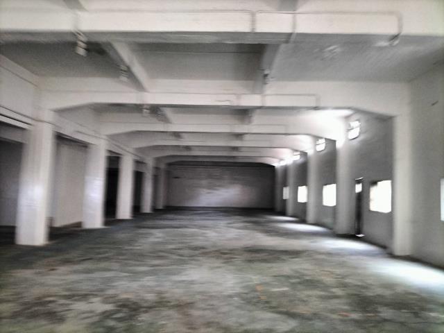 新北鶯歌廠房-1