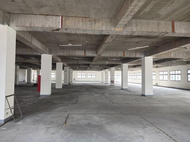 桃園龜山廠房-0