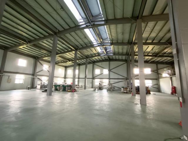 桃園龍潭廠房-1