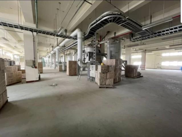 桃園楊梅廠房-1