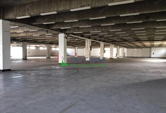 桃園八德廠房-0