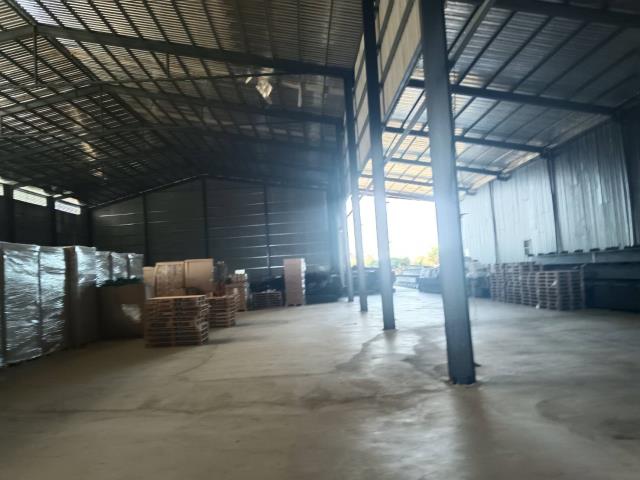 新竹新豐廠房-1