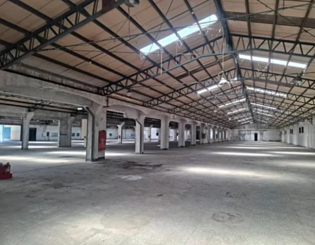 桃園楊梅廠房-3