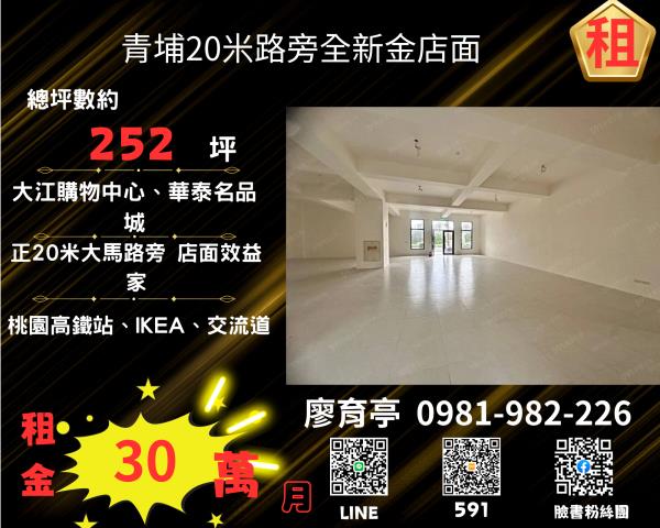 桃園大園廠房-0