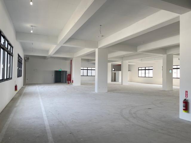 桃園中壢廠房-1