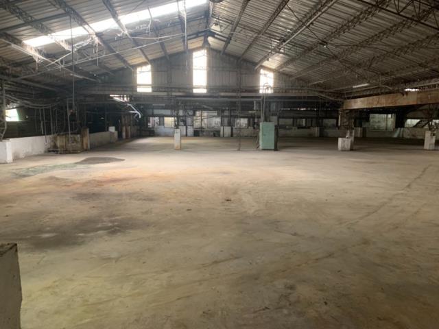 平鎮廠房-3