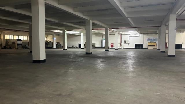 桃園觀音廠房-0