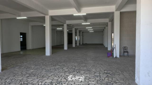 桃園大園廠房-1