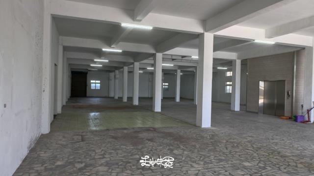 桃園大園廠房-2
