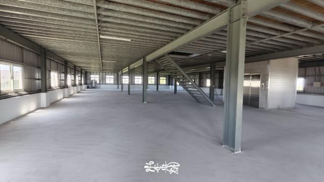 桃園大園廠房-3