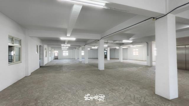 桃園大園廠房-4