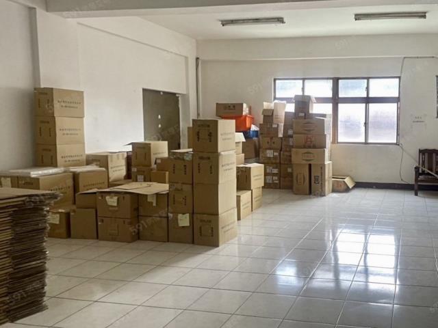 新北新莊廠房-0