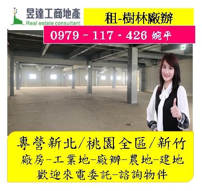 新北樹林廠房-0