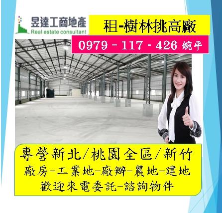 新北樹林廠房-0