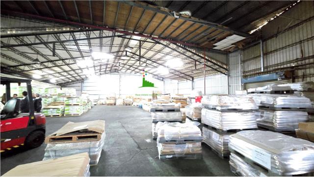 桃園新屋廠房-2