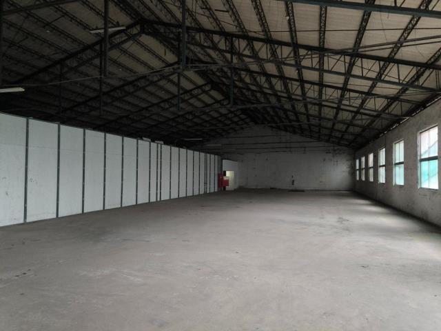 桃園桃園區廠房-0