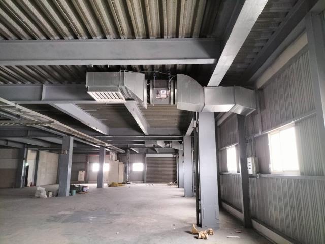 新北樹林廠房-0