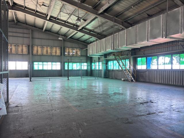 桃園大園廠房-2