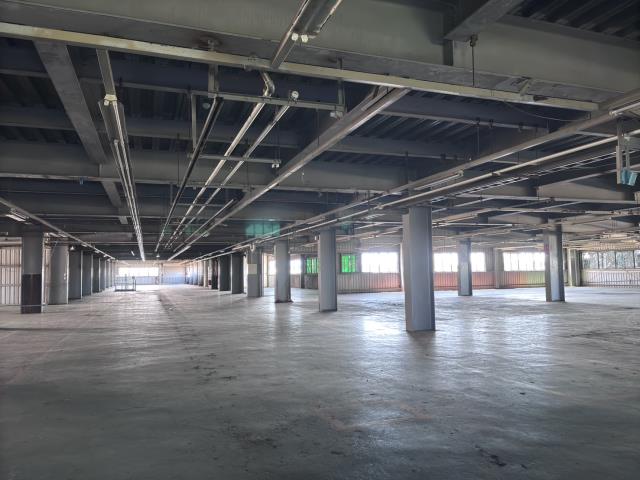 桃園大園廠房-2