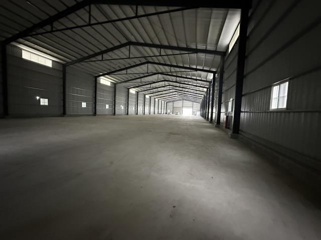 桃園大園廠房-4