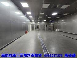 桃園八德廠房-0