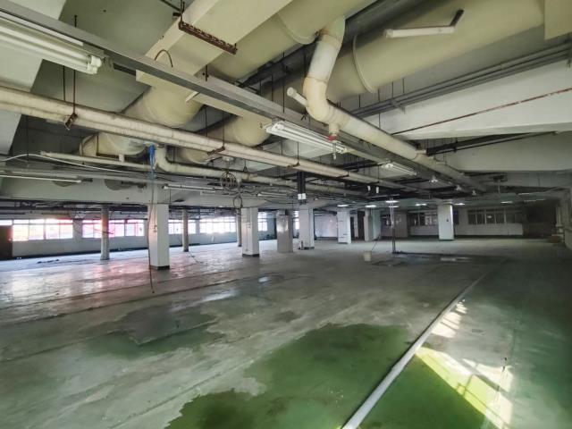 樹林廠房-1