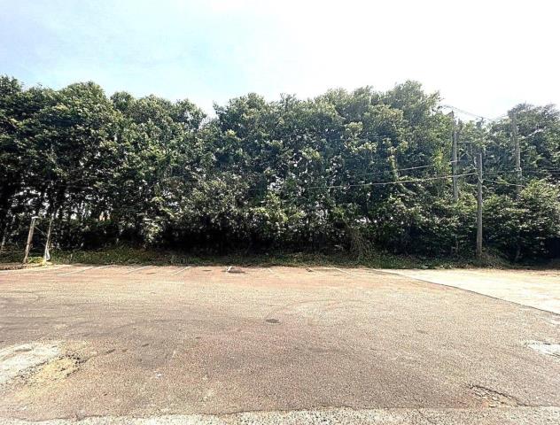 桃園新屋廠房-4