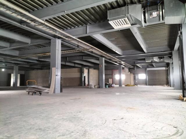 新北樹林廠房-1