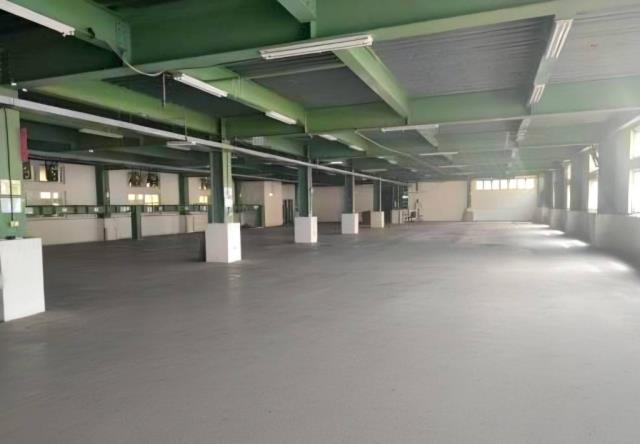 桃園區廠房-1