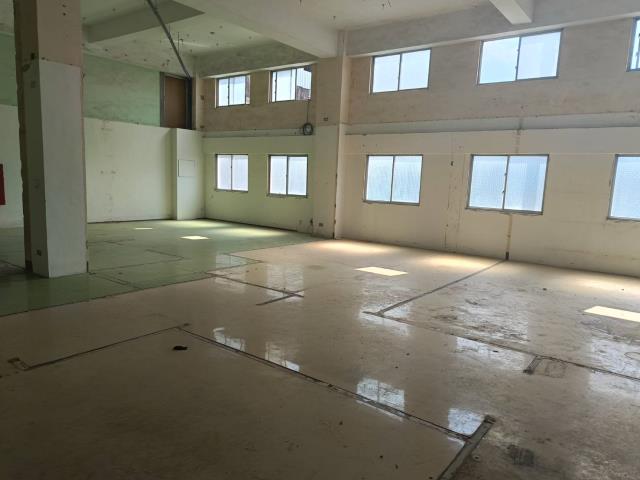 新竹竹東廠房-2