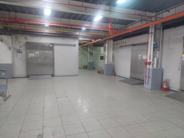 新北新莊廠房-1