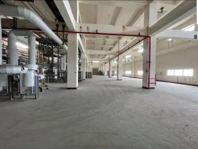 桃園楊梅廠房-0