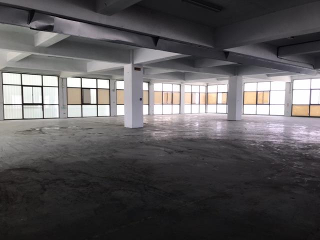 桃園平鎮廠房-1