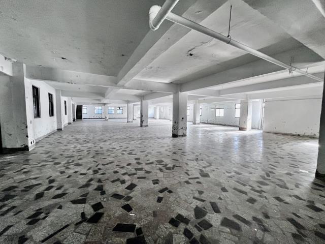 桃園桃園區廠房-1