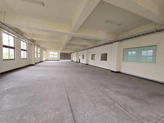 桃園桃園區廠房-2