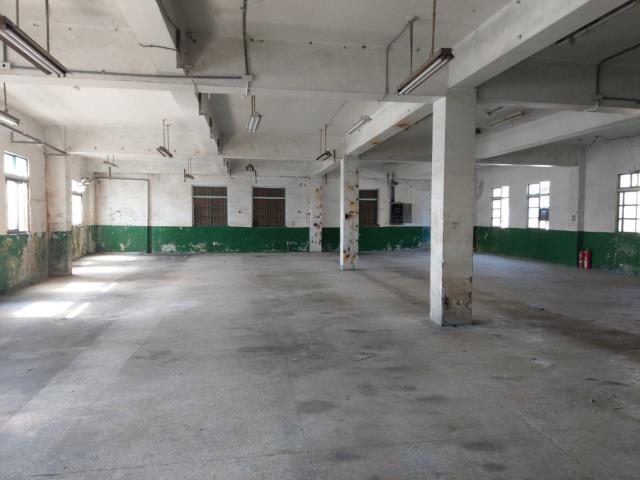 桃園八德廠房-3