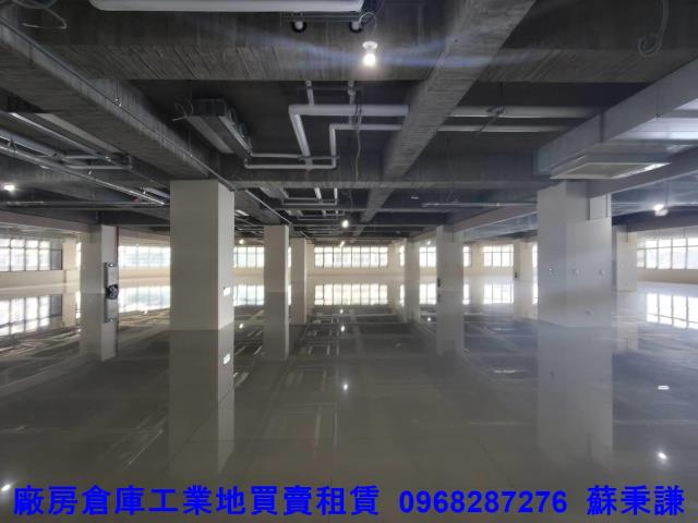 三重興德大坪數附碼頭廠辦