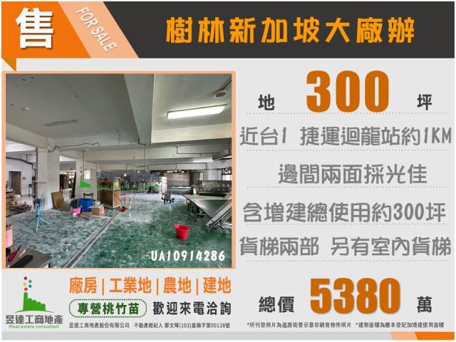 新北樹林廠房-0