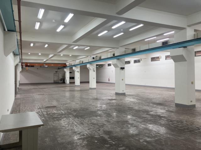桃園八德廠房-2