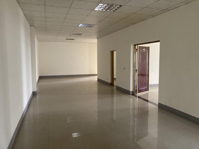 桃園八德廠房-4