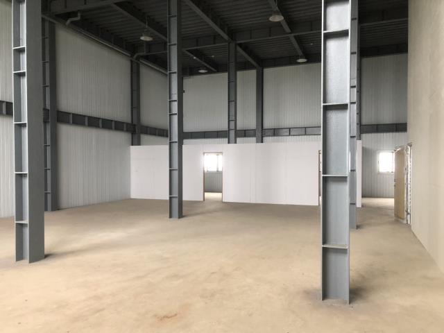 桃園大園廠房-1