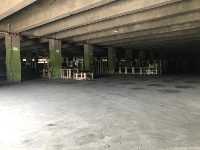 苗栗頭份廠房-4