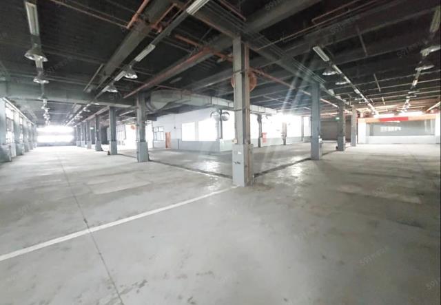 桃園蘆竹廠房-1