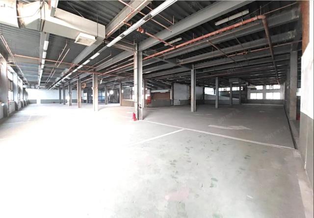 桃園蘆竹廠房-2