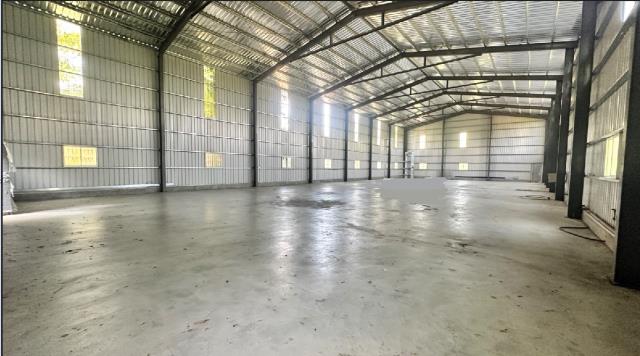 桃園平鎮廠房-0