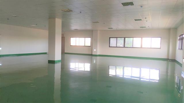 桃園平鎮廠房-0